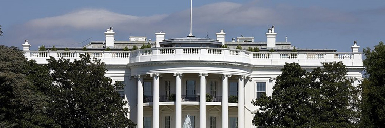 provider directory tool